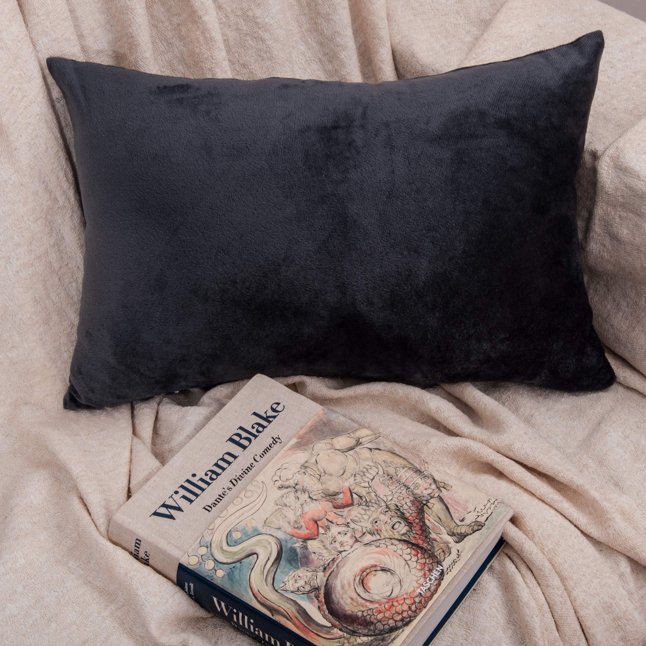 Ntbay 2 Pack Zippered Velvet King Pillowcases, Super Soft And Cozy Luxury Fuzzy Flannel Pillow Cases With Zipper, 20X36 Inches,